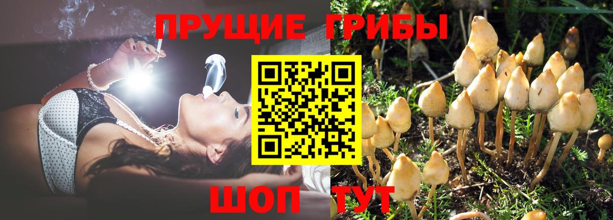 Псилоцибиновые грибы прущие грибы Белореченск