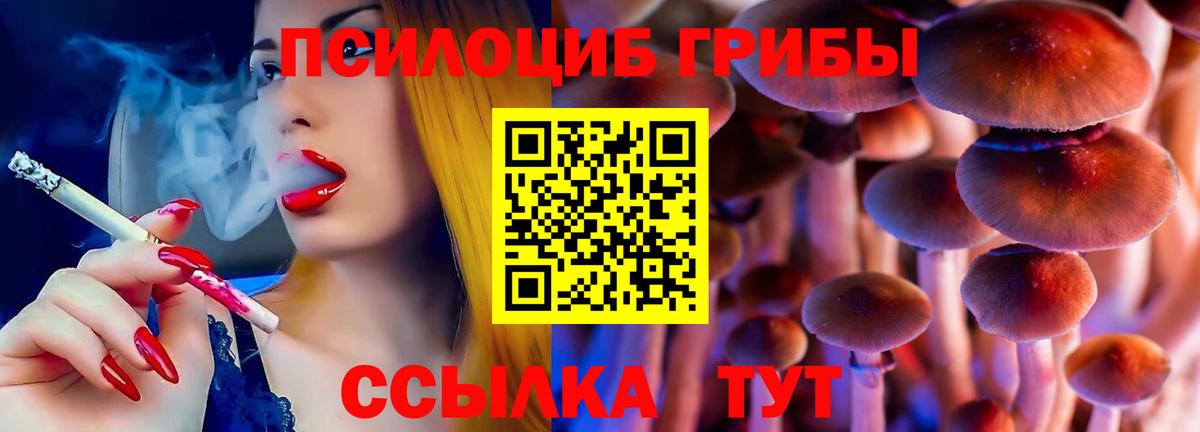 Белореченск  Галлюциногенные грибы Psilocybe  Вход с VPN  Галлюциногенные грибы прущие грибы 