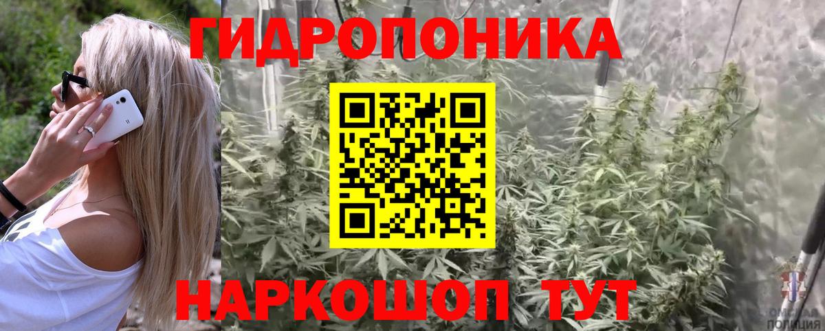 Шишки марихуана сатива Белореченск